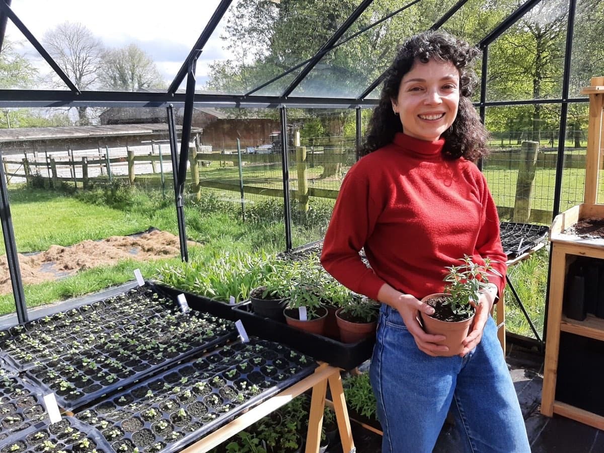 Alexandra Chennevière dans sa serre, un plant de verveine citronnée entre les mains