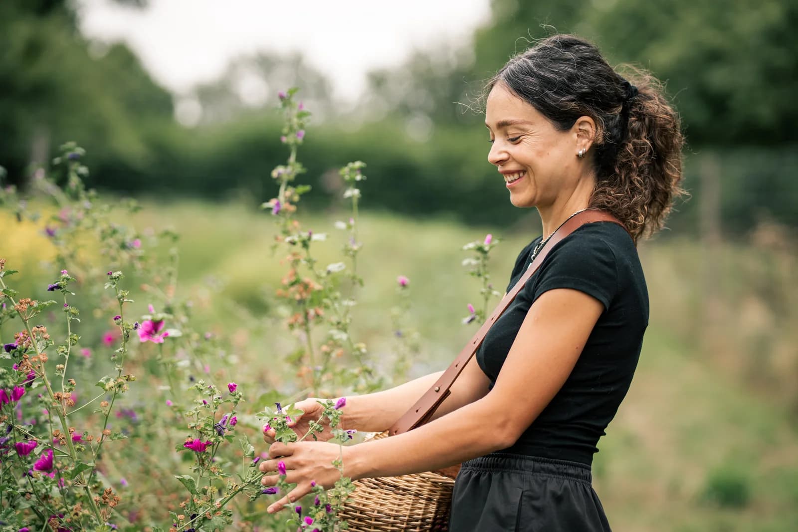 Alexandra au milieu des rangs de plantes, le bocage normand en arrière-plan